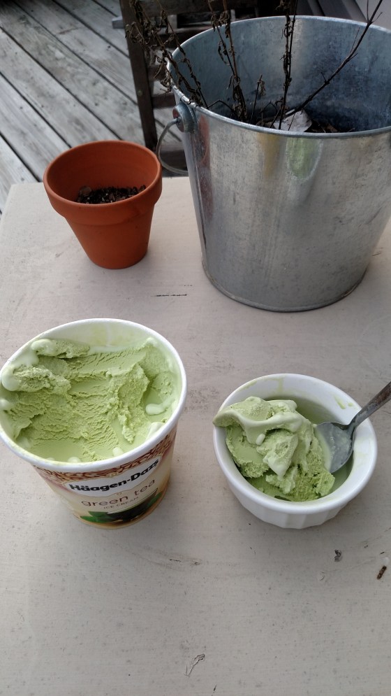HaagenGreenTeaIceCream