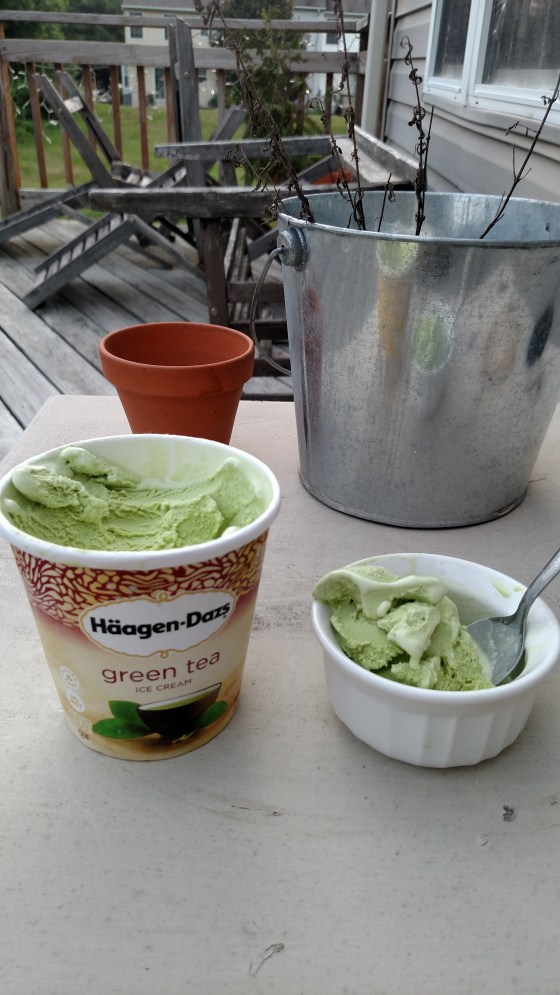 HaagenGreenTeaIceCream2