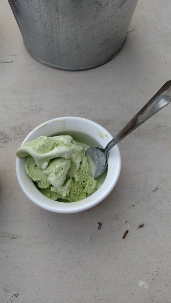 HaagenGreenTeaIceCream3