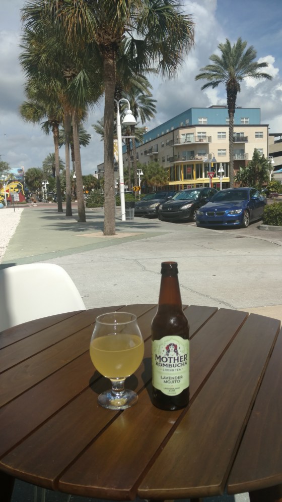 MotherKombuchaJustMe