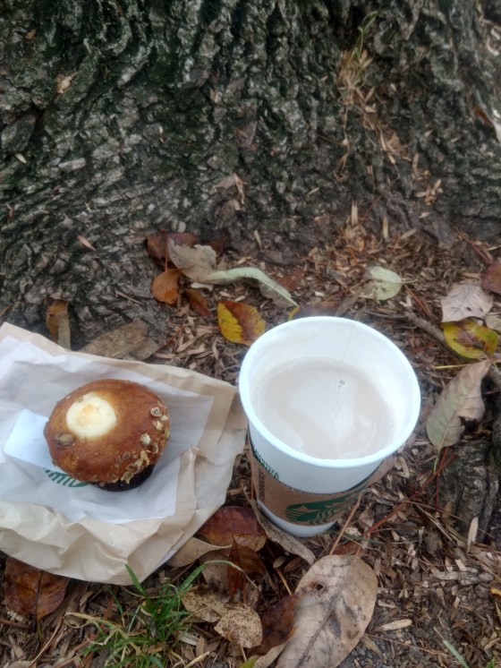 StarbucksChaiPumpkinMuffin2