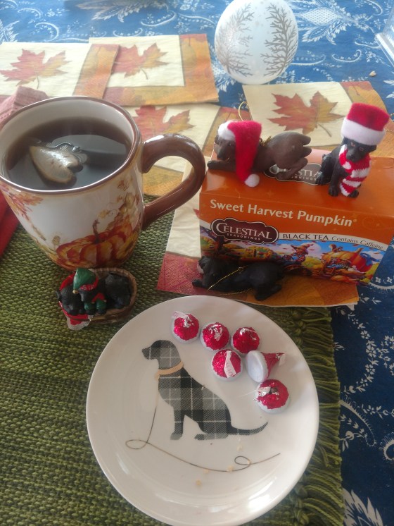 CelestialPumpkinDisplay7