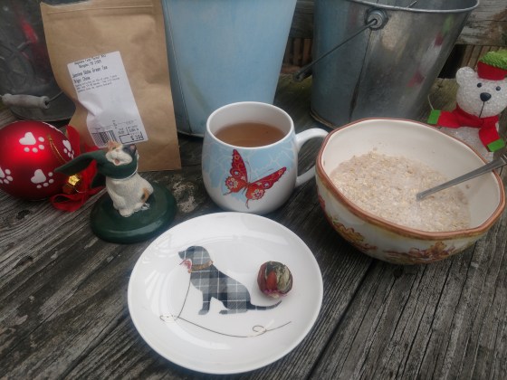 WegmansJasmineGlobeTeaDisplay