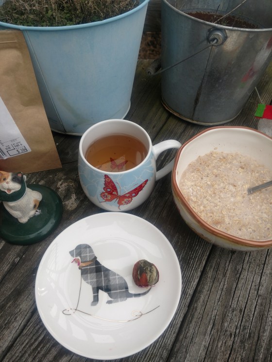 WegmansJasmineGlobeTeaDisplay3