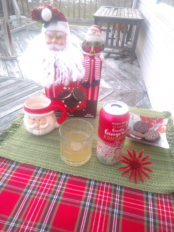 TJGentlyGingerbreadKombuchaDisplay4