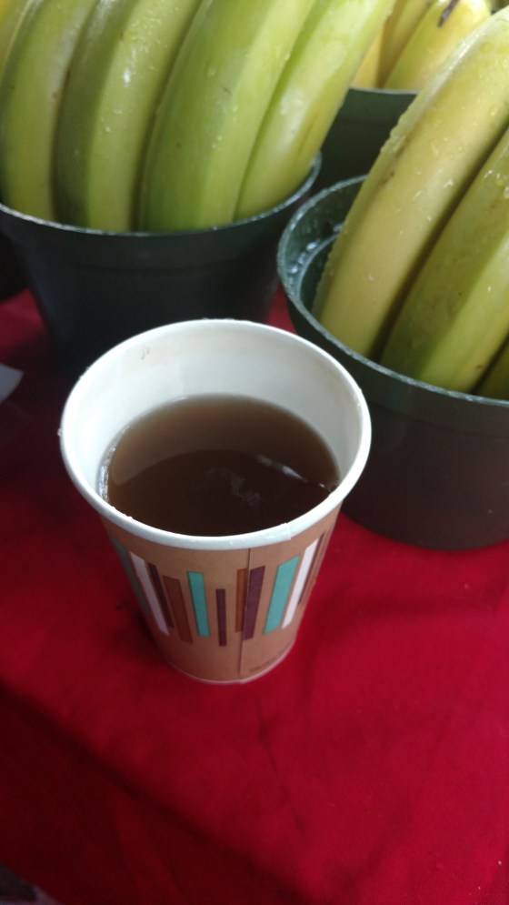 HarakiGordonRedWithFruits2