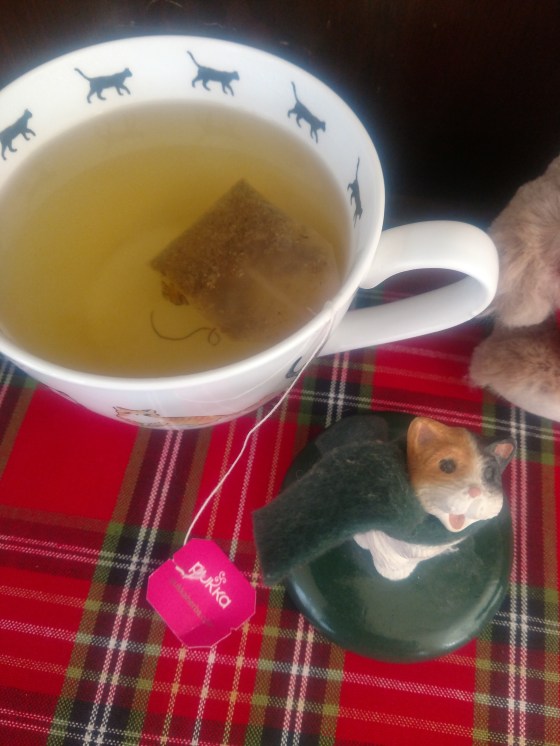 PukkaTeaCupCat1