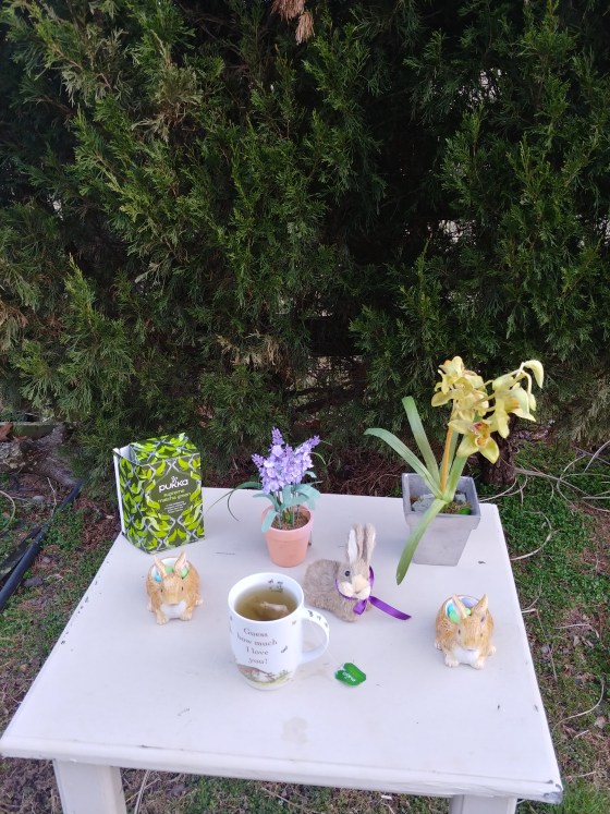 PukkaSupremeMatchaGreenTeaDisplay4