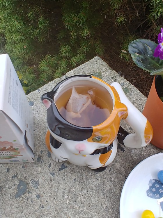 CelestialSeasoningsCinnamonCardamomTeaDisplay9